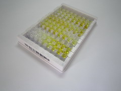 端粒酶逆转录酶(TERT)检测试剂盒(酶联免疫吸附试验法)