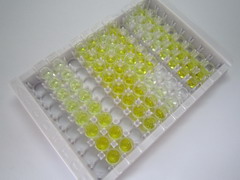 紧密连接蛋白1(TJP1)检测试剂盒(酶联免疫吸附试验法)