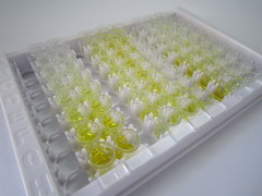 氨基酰化酶1(ACY1)检测试剂盒(酶联免疫吸附试验法)