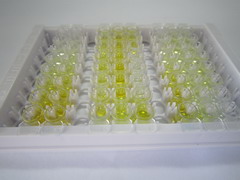 前梯度蛋白2(AGR2)检测试剂盒(酶联免疫吸附试验法)