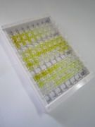 离子化钙结合适配分子1(AIF1)检测试剂盒(酶联免疫吸附试验法)