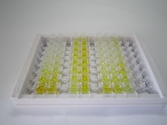 腺瘤息肉病大肠杆菌蛋白(APC)检测试剂盒(酶联免疫吸附试验法)
