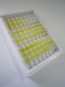 70kDa热休克蛋白5(HSPA5)检测试剂盒(酶联免疫吸附试验法)