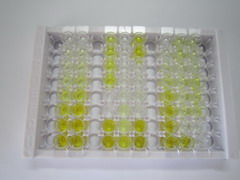 羧酸酯酶1(CES1)检测试剂盒(酶联免疫吸附试验法)