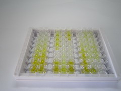 羧酸酯酶1(CES1)检测试剂盒(酶联免疫吸附试验法)