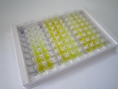 隐色素1(CRY1)检测试剂盒(酶联免疫吸附试验法)