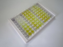钙敏感受体(CASR)检测试剂盒(酶联免疫吸附试验法)