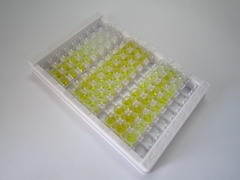 肉毒碱棕榈酰基转移酶2(CPT2)检测试剂盒(酶联免疫吸附试验法)