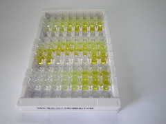 细胞外基质蛋白1(ECM1)检测试剂盒(酶联免疫吸附试验法)