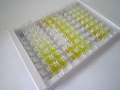 脂肪酸去飽和酶1(FADS1)檢測試劑盒(酶聯免疫吸附試驗法)