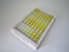 膜铁转运蛋白(FPN)检测试剂盒(酶联免疫吸附试验法)
