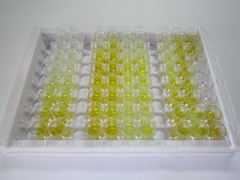 透明质酸结合蛋白2(HABP2)检测试剂盒(酶联免疫吸附试验法)