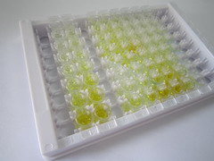 海马钙蛋白样蛋白1(HPCAL1)检测试剂盒(酶联免疫吸附试验法)