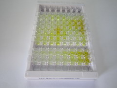 组氨酸丰富糖蛋白(HRG)检测试剂盒(酶联免疫吸附试验法)