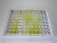 白细胞衍生趋化因子1(LECT1)检测试剂盒(酶联免疫吸附试验法)