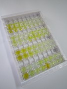 血管活性肠肽受体1(VIPR1)检测试剂盒(酶联免疫吸附试验法)