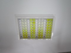 血管非炎性蛋白1(VNN1)檢測(cè)試劑盒(酶聯(lián)免疫吸附試驗(yàn)法)