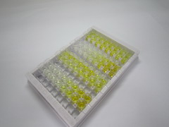 肿瘤坏死因子相关配体分子1A(TL1A)检测试剂盒(酶联免疫吸附试验法)