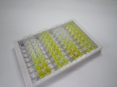 血管舒张剂激活磷蛋白(VASP)检测试剂盒(酶联免疫吸附试验法)