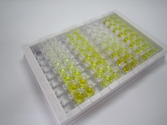 血管舒張劑激活磷蛋白(VASP)檢測(cè)試劑盒(酶聯(lián)免疫吸附試驗(yàn)法)
