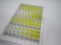 黄嘌呤脱氢酶(XDH)检测试剂盒(酶联免疫吸附试验法)