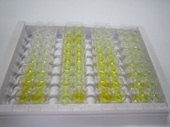 Napsin A天冬氨酸肽酶(NAPSA)检测试剂盒(酶联免疫吸附试验法)