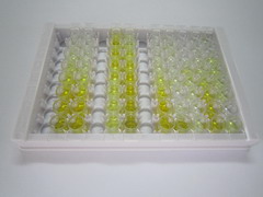 气味结合蛋白2A(OBP2A)检测试剂盒(酶联免疫吸附试验法)