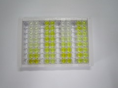 平足蛋白(PDPN)检测试剂盒(酶联免疫吸附试验法)