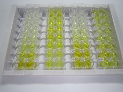 围脂滴蛋白1(PLIN1)检测试剂盒(酶联免疫吸附试验法)