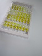 跨膜丝氨酸蛋白酶2(TMPRSS2)检测试剂盒(酶联免疫吸附试验法)