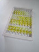 Toll相互作用蛋白(TOLLIP)檢測(cè)試劑盒(酶聯(lián)免疫吸附試驗(yàn)法)