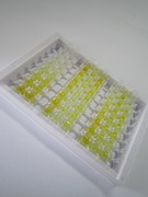 腫瘤易感基因101(TSG101)檢測試劑盒(酶聯(lián)免疫吸附試驗(yàn)法)