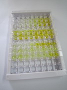 平滑肌细胞分化特异性抗原(SMTN)检测试剂盒(酶联免疫吸附试验法)