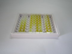 硬骨素(SOST)檢測(cè)試劑盒(酶聯(lián)免疫吸附試驗(yàn)法)