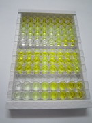 5-羟色胺转运蛋白(SERT)检测试剂盒(酶联免疫吸附试验法)
