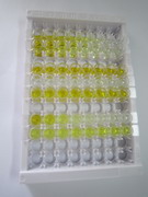 碘甲腺原氨酸脱碘酶Ⅱ(DIO2)检测试剂盒(酶联免疫吸附试验法)