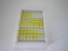 成纤维细胞生长因子3(FGF3)检测试剂盒(酶联免疫吸附试验法)