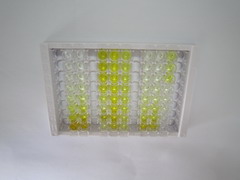 成纤维细胞生长因子8(FGF8)检测试剂盒(酶联免疫吸附试验法)