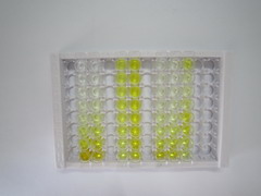血小板衍生生长因子C(PDGFC)检测试剂盒(酶联免疫吸附试验法)