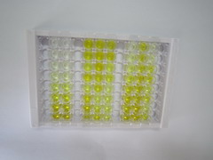 甲酰肽受体1(FPR1)检测试剂盒(酶联免疫吸附试验法)