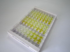 25kDa突触关联蛋白(SNAP25)检测试剂盒(酶联免疫吸附试验法)
