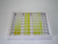 游離脂肪酸受體1(FFAR1)檢測(cè)試劑盒(酶聯(lián)免疫吸附試驗(yàn)法)