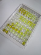 癌胚抗原相关细胞粘附分子7(CEACAM7)检测试剂盒(酶联免疫吸附试验法)
