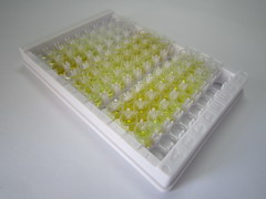 谷胱甘肽过氧化酶2(GPX2)检测试剂盒(酶联免疫吸附试验法)