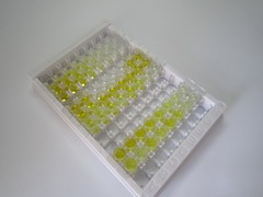 苏氨酰tRNA合成酶(TARS)检测试剂盒(酶联免疫吸附试验法)