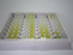 神经纤维网蛋白2(NRP2)检测试剂盒(酶联免疫吸附试验法)