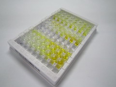 低密度脂蛋白受體銜接蛋白1(LDLRAP1)檢測(cè)試劑盒(酶聯(lián)免疫吸附試驗(yàn)法)