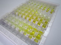 印度刺猬因子(IHH)检测试剂盒(酶联免疫吸附试验法)