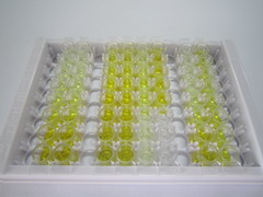 核糖核酸酶A7(RNASE7)检测试剂盒(酶联免疫吸附试验法)