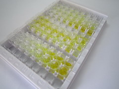 快肌肌钙蛋白C(TNNC2)检测试剂盒(酶联免疫吸附试验法)